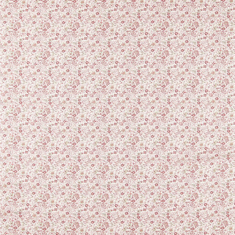 Текстиль Clarke & Clarke Indira F1811/01