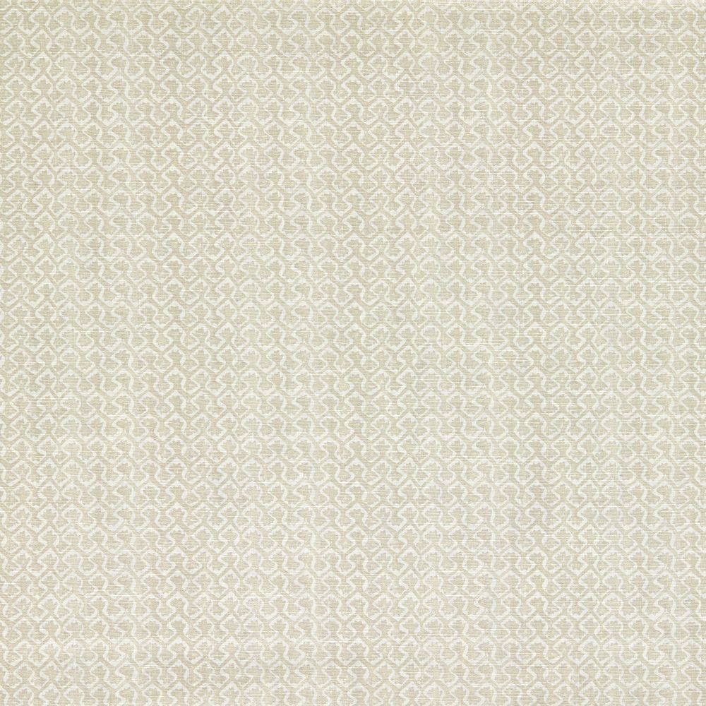 Текстиль Clarke & Clarke Indira F1810/05