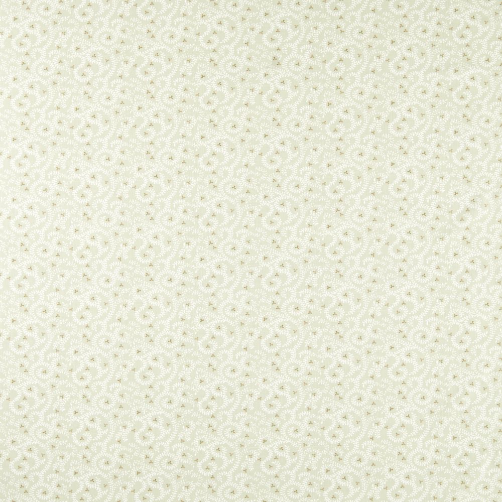 Текстиль Clarke & Clarke Indira F1808/03