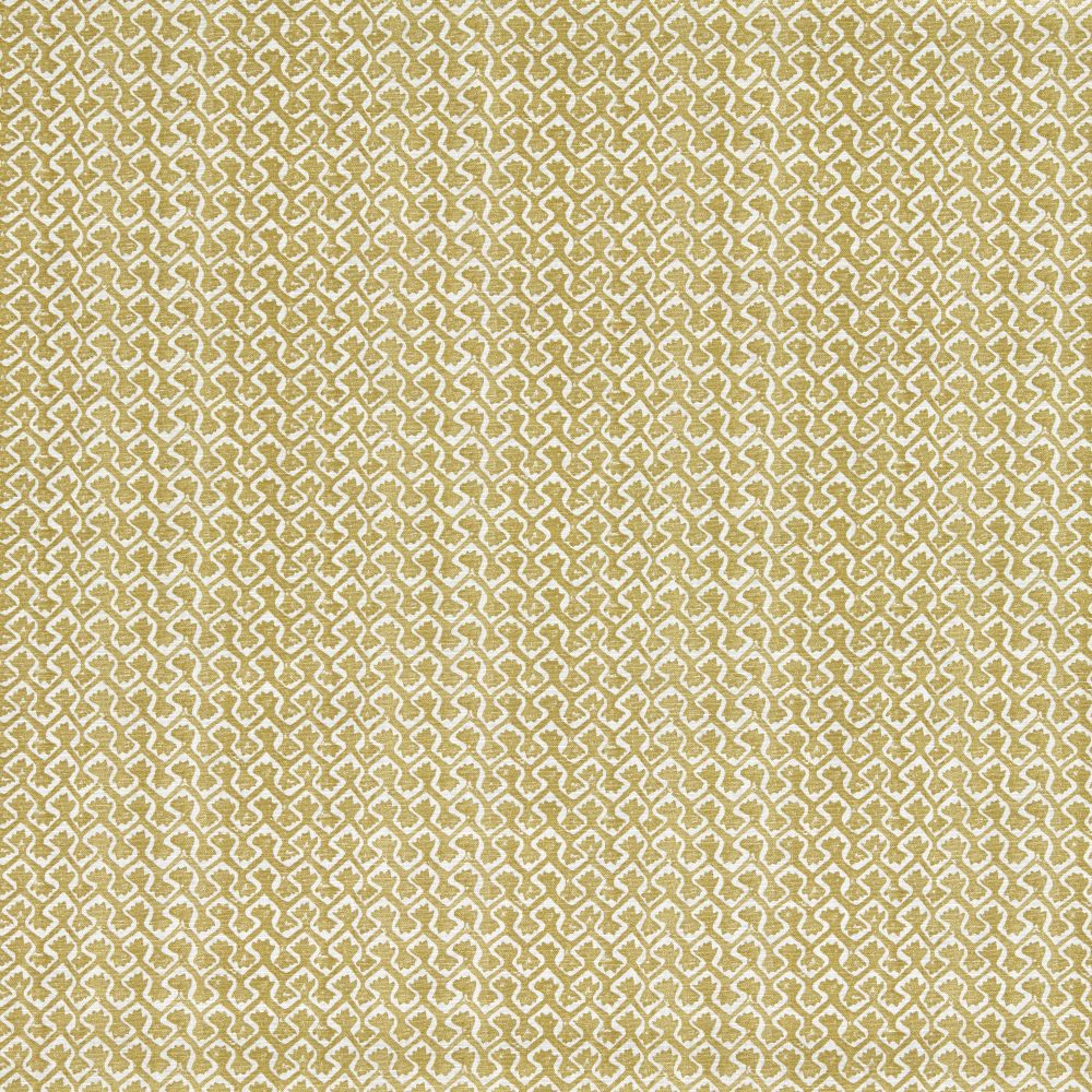 Текстиль Clarke & Clarke Indira F1810/01