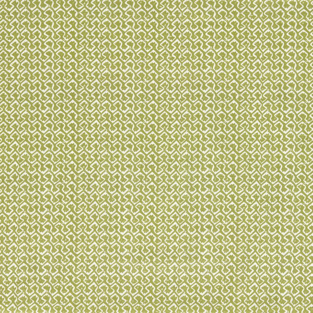 Текстиль Clarke & Clarke Indira F1810/02