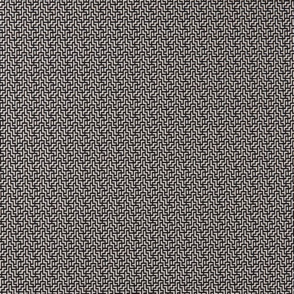 Текстиль Clarke & Clarke Black And White F0903/01