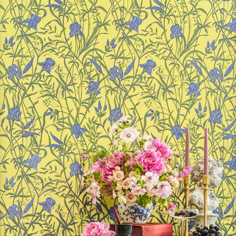 Обои Cole & Son Classics Vol. Ii 128/5027