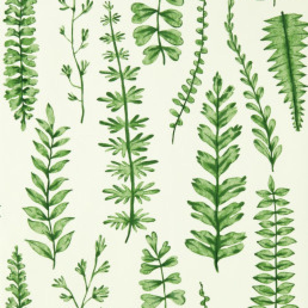 Обои Scion Garden Of Eden 112798