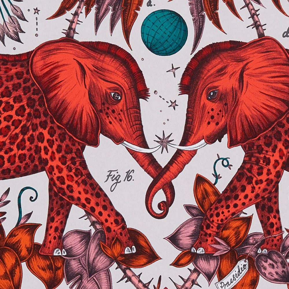 Обои Clarke & Clarke x Emma Shipley Wilderie W0121