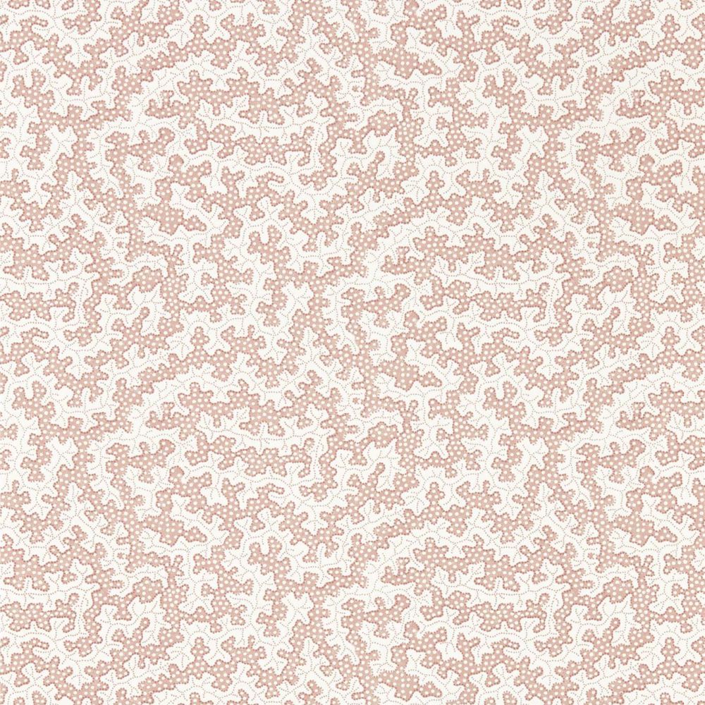 Обои Sanderson Arboretum 217240