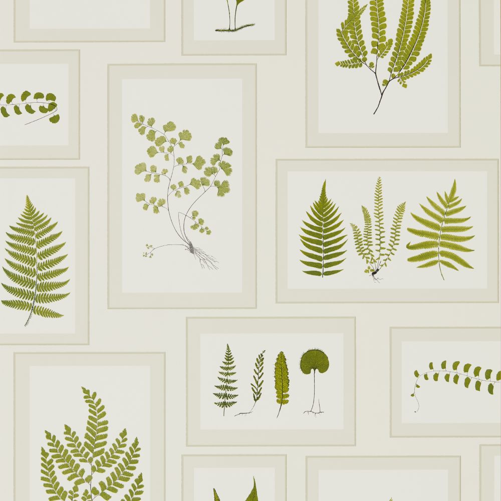 Обои Sanderson Woodland Walk DWOW215712