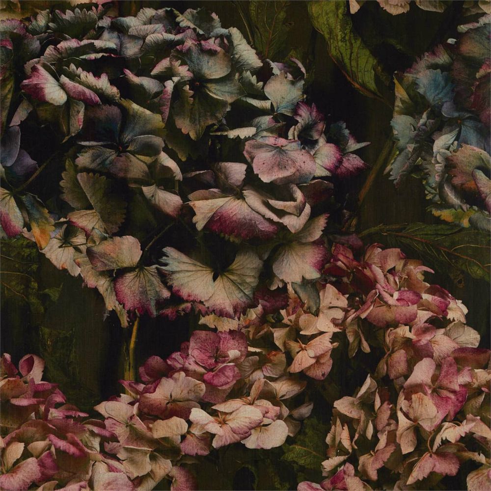 Текстиль Zoffany Darnley 322661