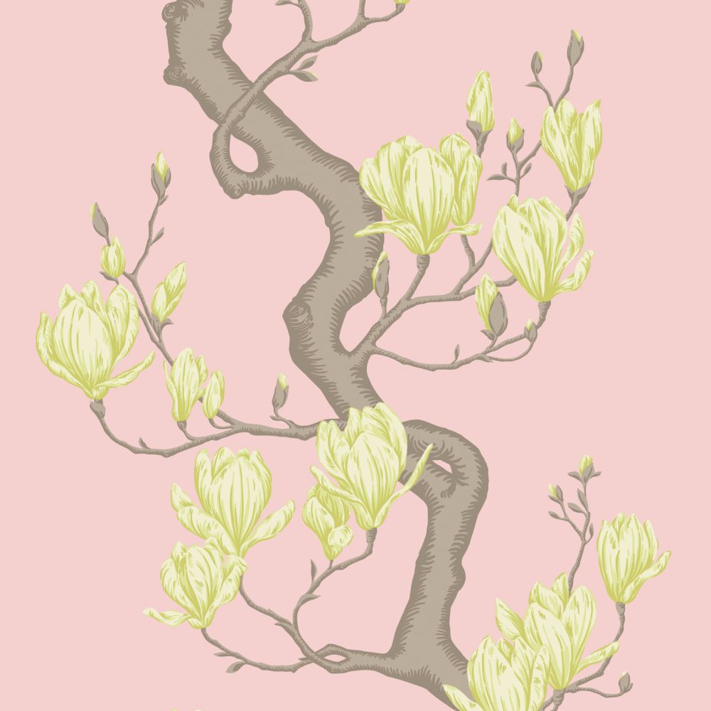 Обои Cole & Son Classics Vol. Ii 128/1005