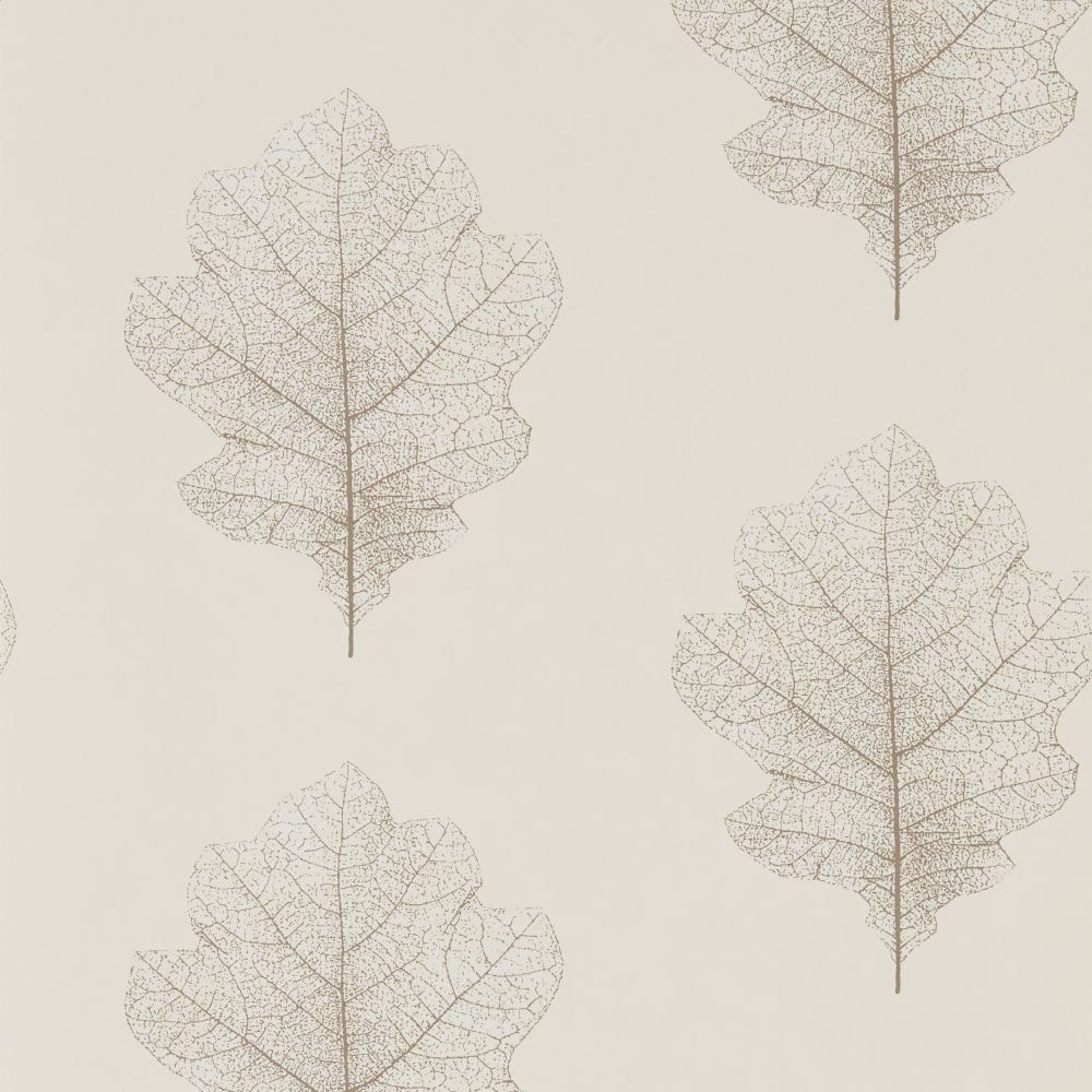 Обои Sanderson Woodland Walk DWOW215699