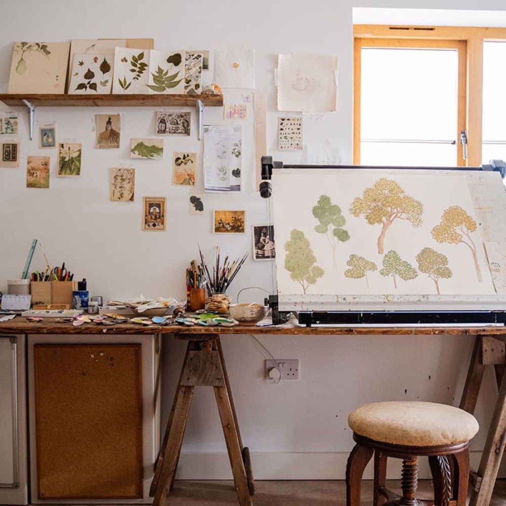 Обои Zoffany Indienne 313123