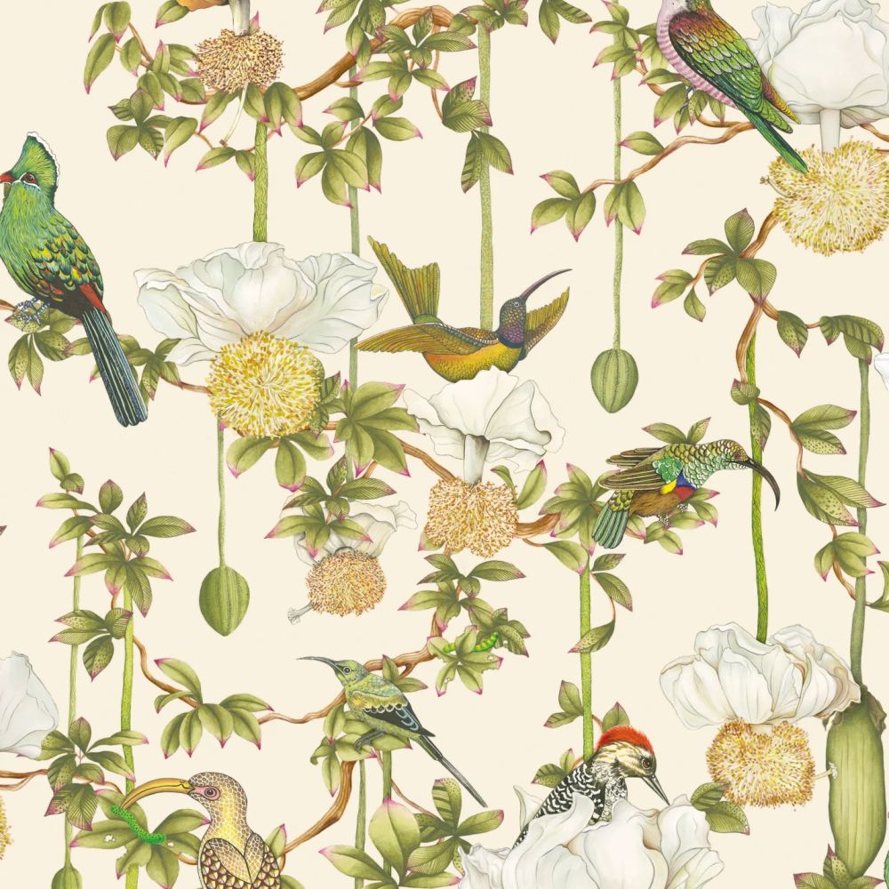 Обои Cole & Son Ardmore – Baobab 129/2004