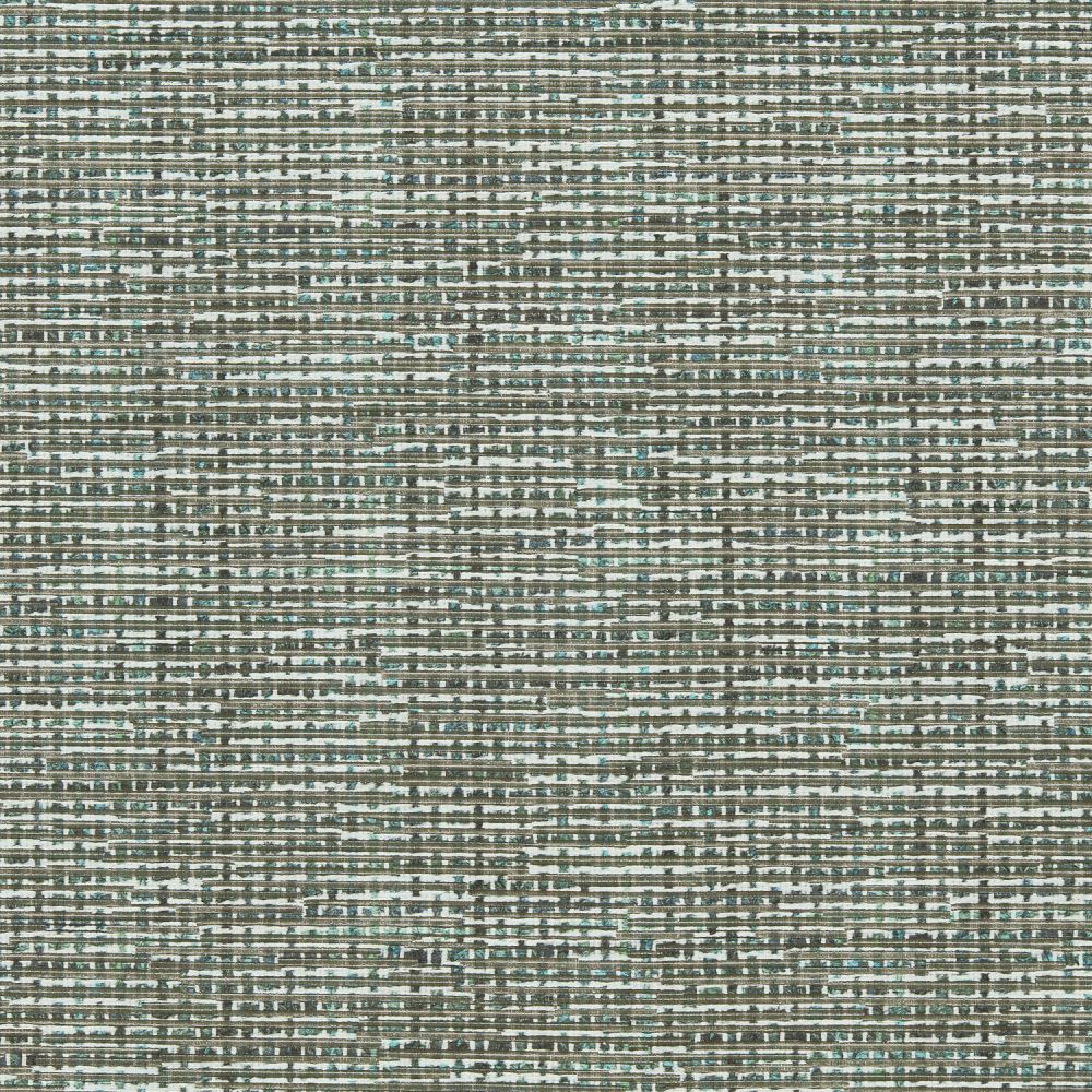 Текстиль Clarke & Clarke Espectro Weaves F1815/05