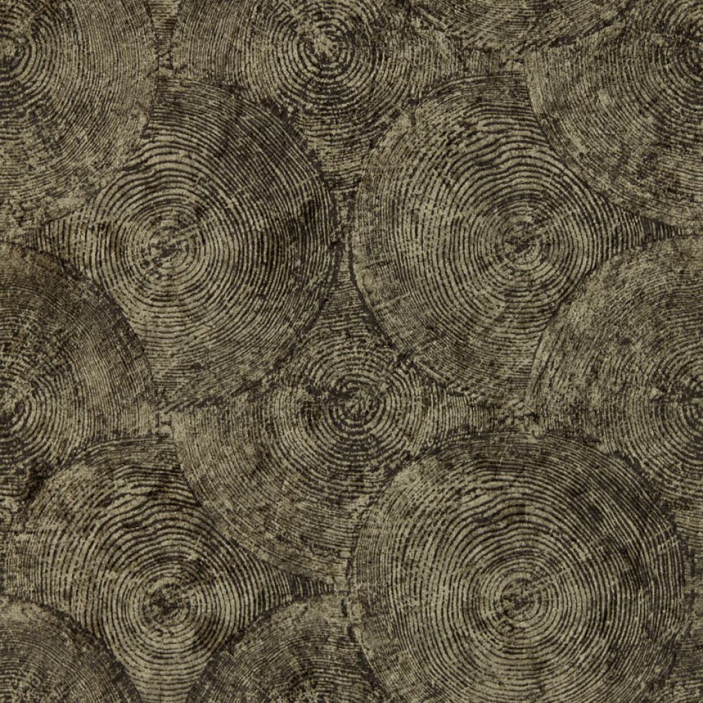 Обои Clarke & Clarke Expressions Performance W0209