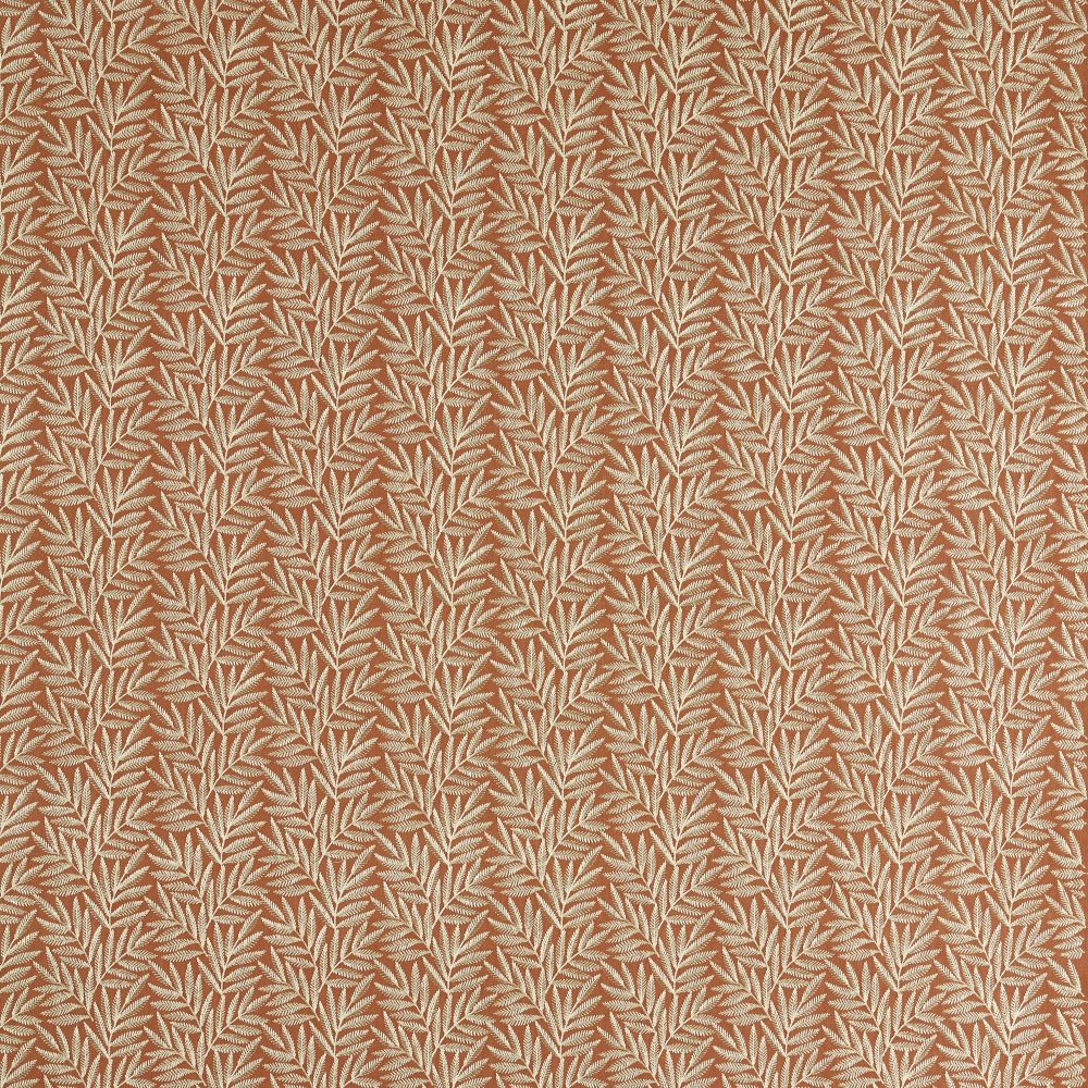 Текстиль Clarke & Clarke Expressions CCF0881-01