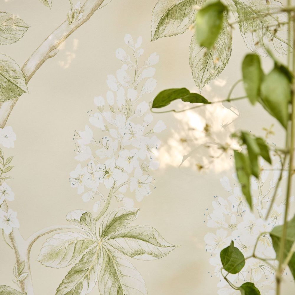 Обои Sanderson Country Woodland 215707