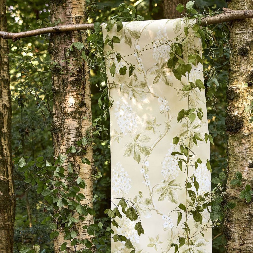 Обои Sanderson Country Woodland 215707