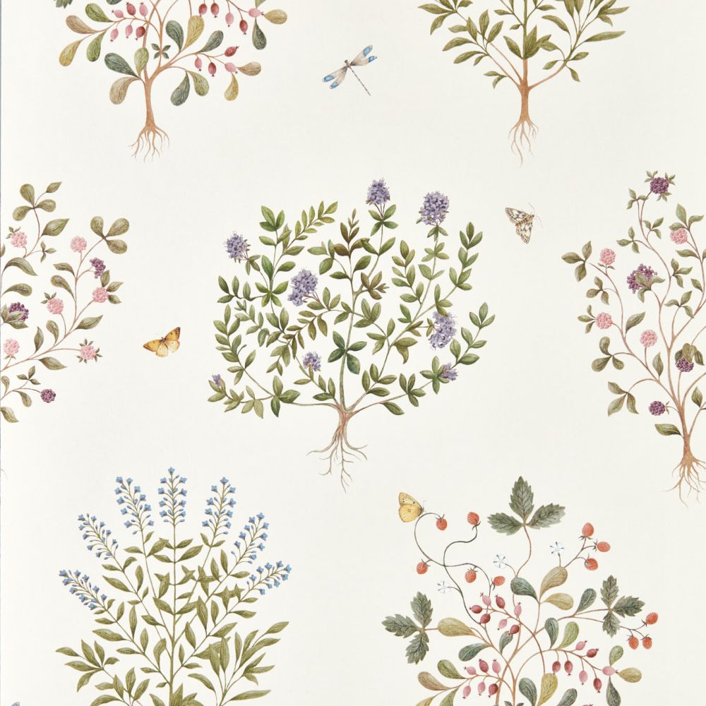 Обои Sanderson Highgrove 217509
