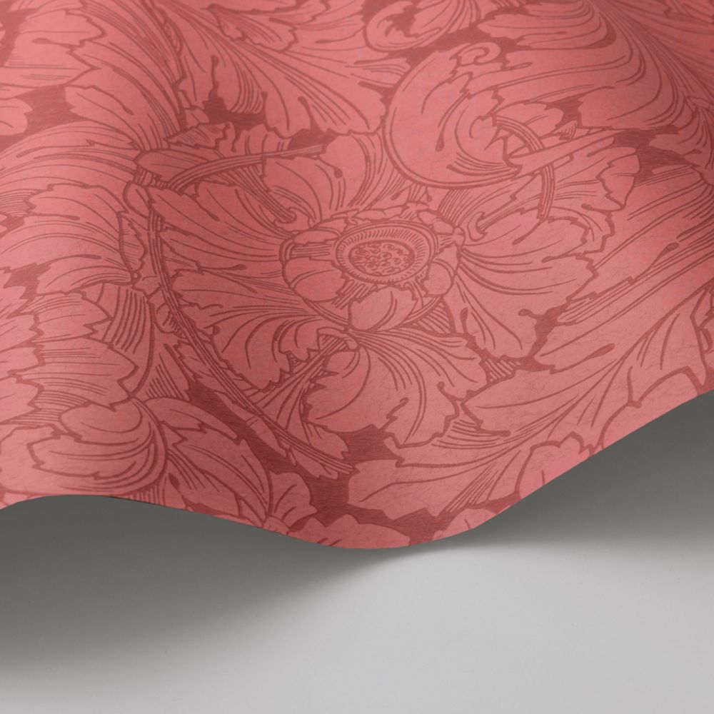 Обои Cole & Son Classics Vol. I 127/6033