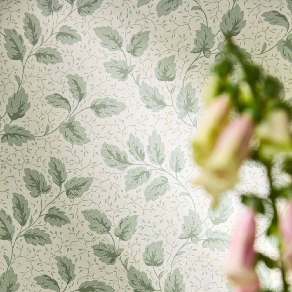 Обои Sanderson Country Woodland 217419
