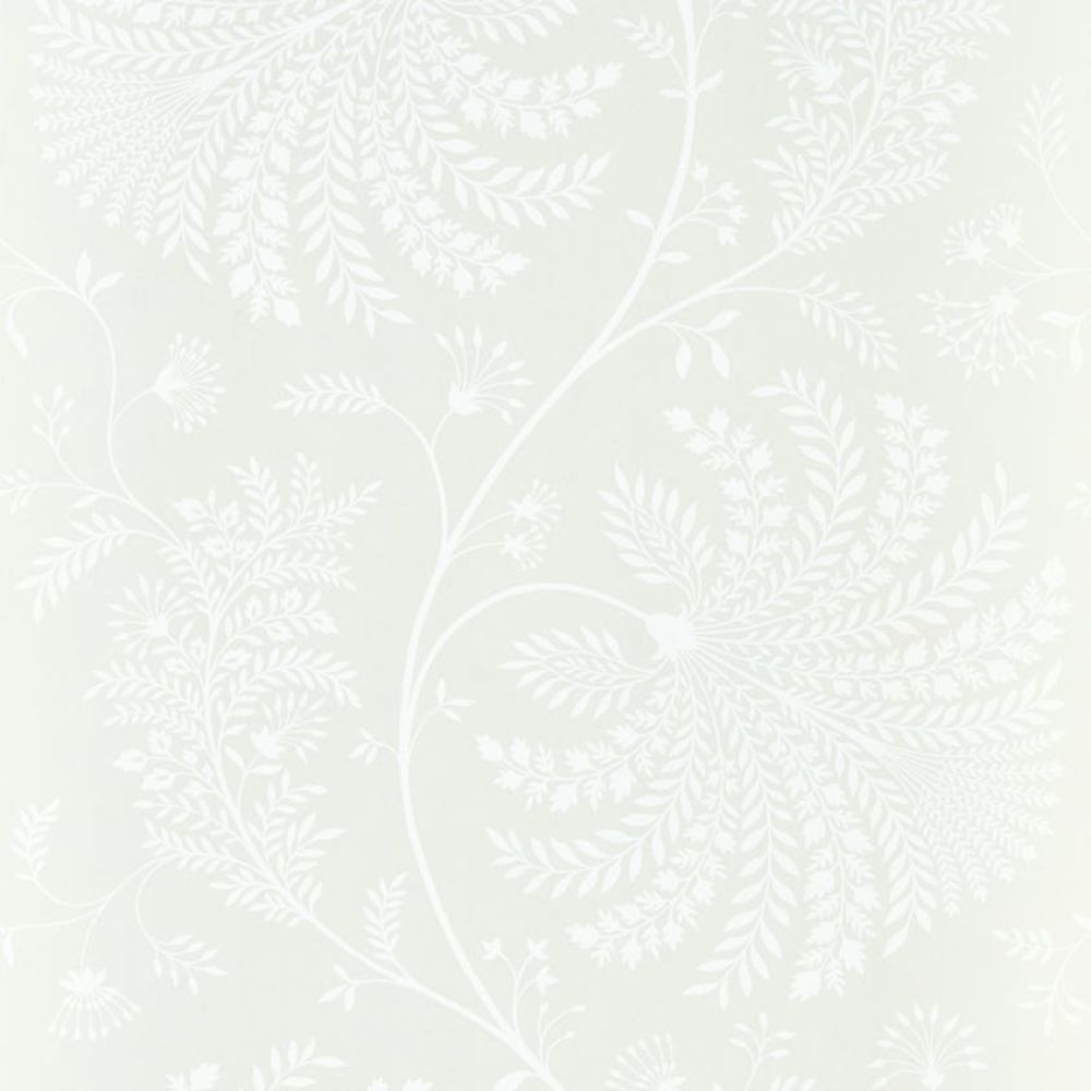 Обои Sanderson Curios 216343