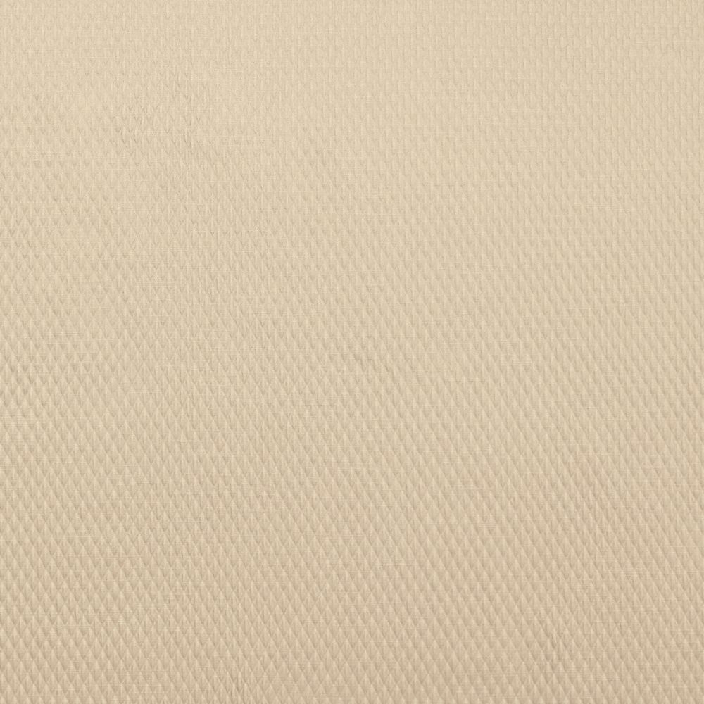 Текстиль Ashley Wilde Essenial Weave Vol 1 ALIE CHAMPAGNE