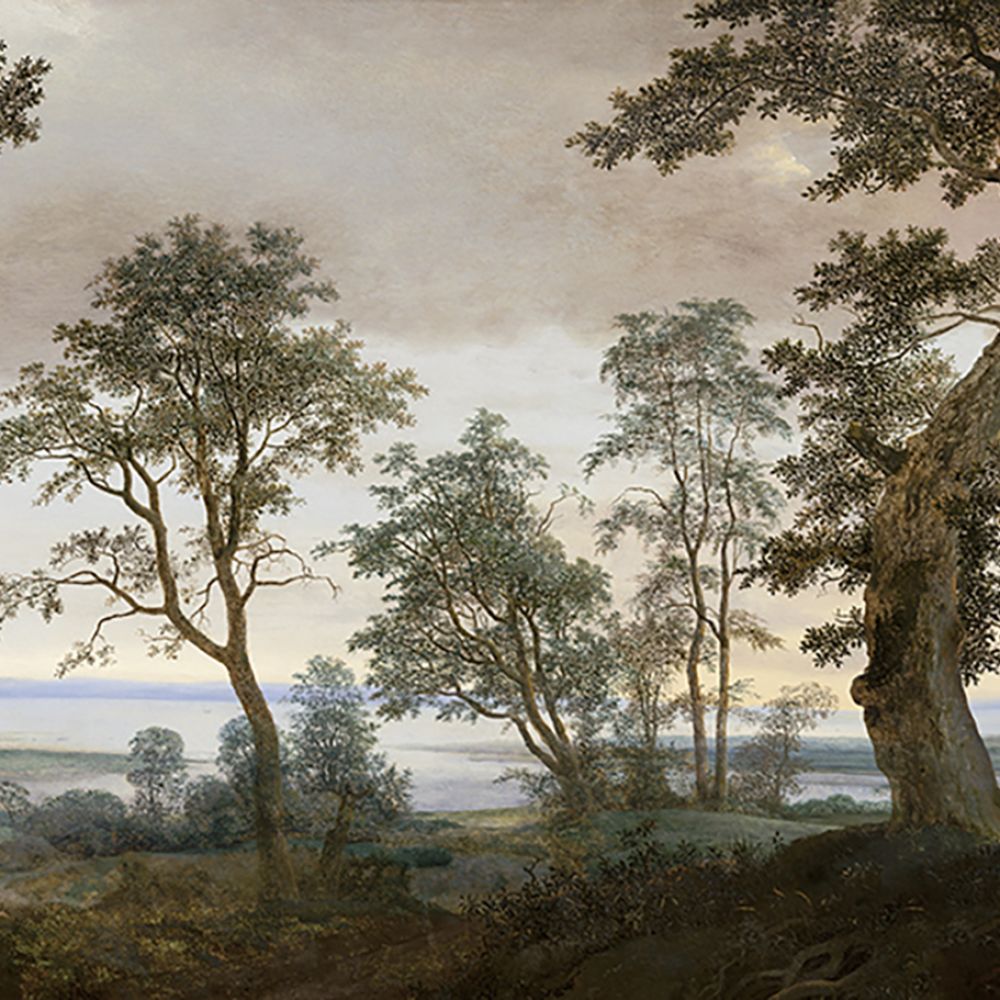 Обои Eijffinger Magnifique 351290