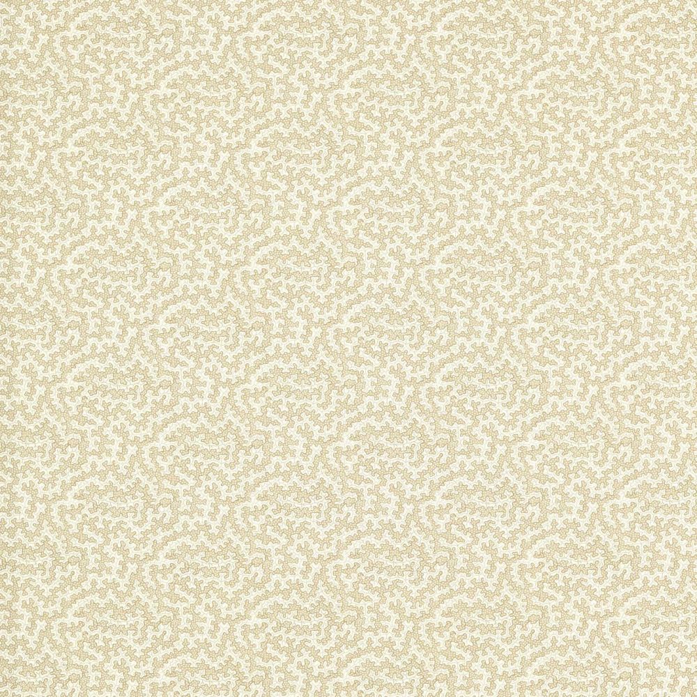 Текстиль Sanderson Indoor Outdoor 227261