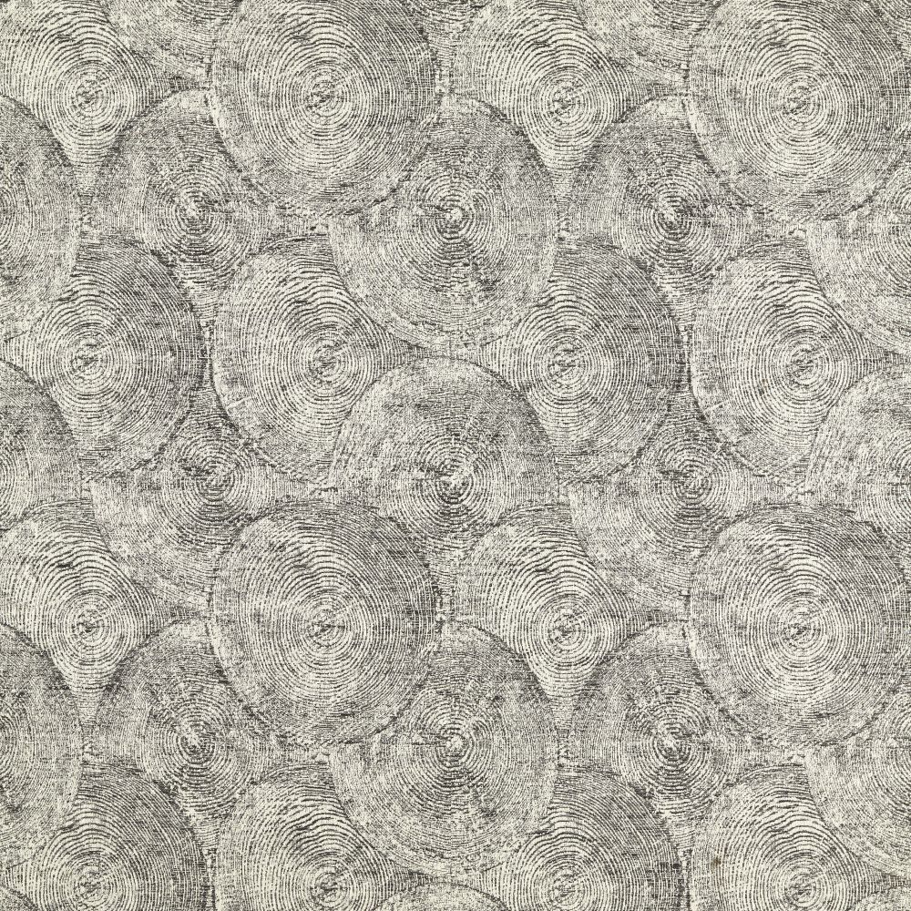 Текстиль Clarke & Clarke Expressions CCF0879-04