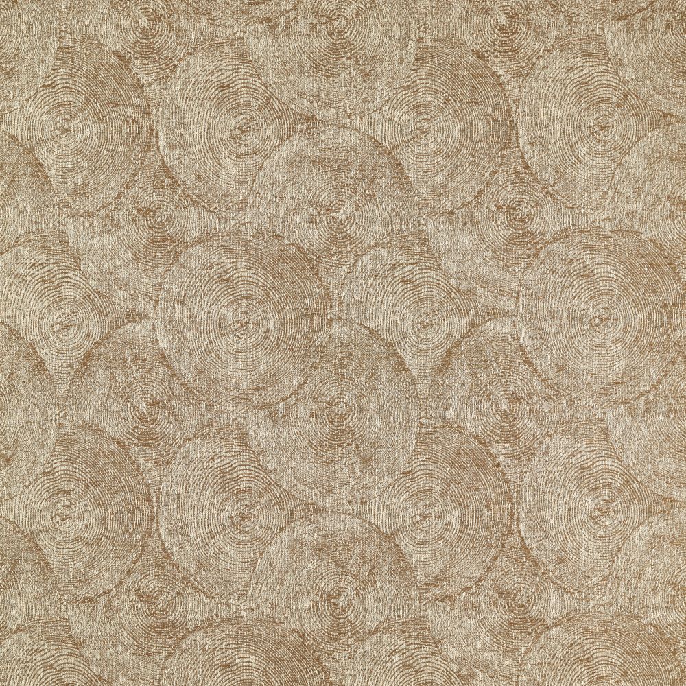 Текстиль Clarke & Clarke Expressions CCF0879-01