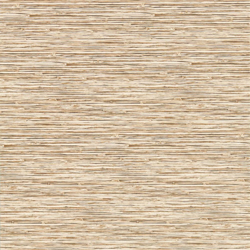 Обои Clarke & Clarke x Breegan Jane W0192/06