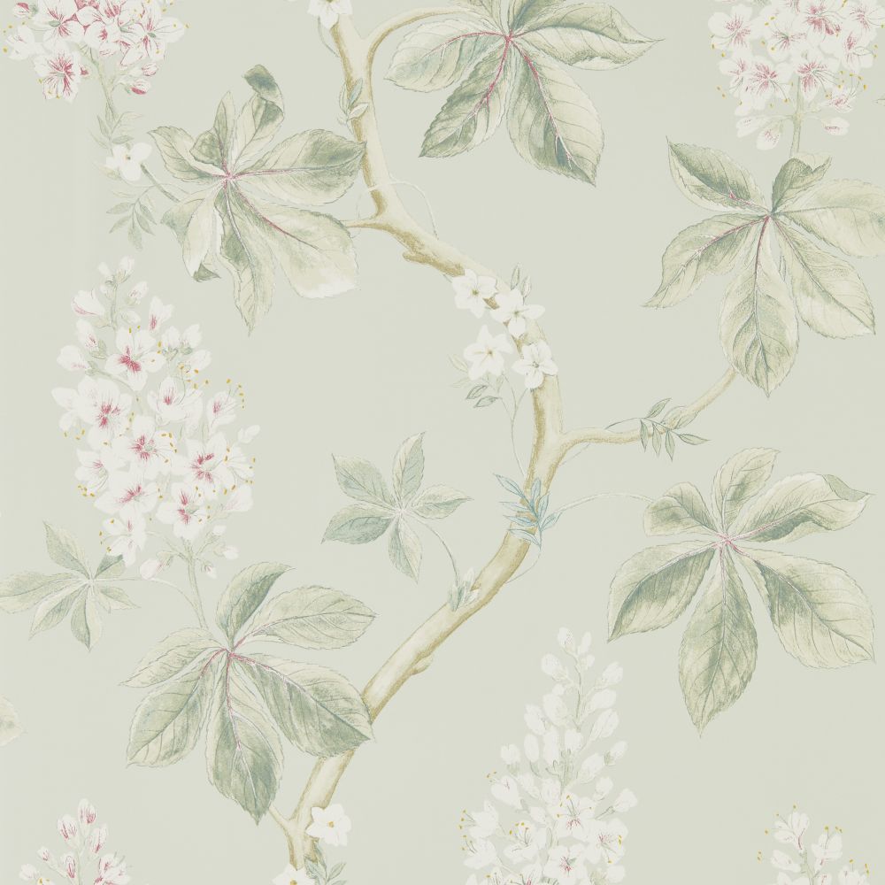 Обои Sanderson Woodland Walk DWOW215710