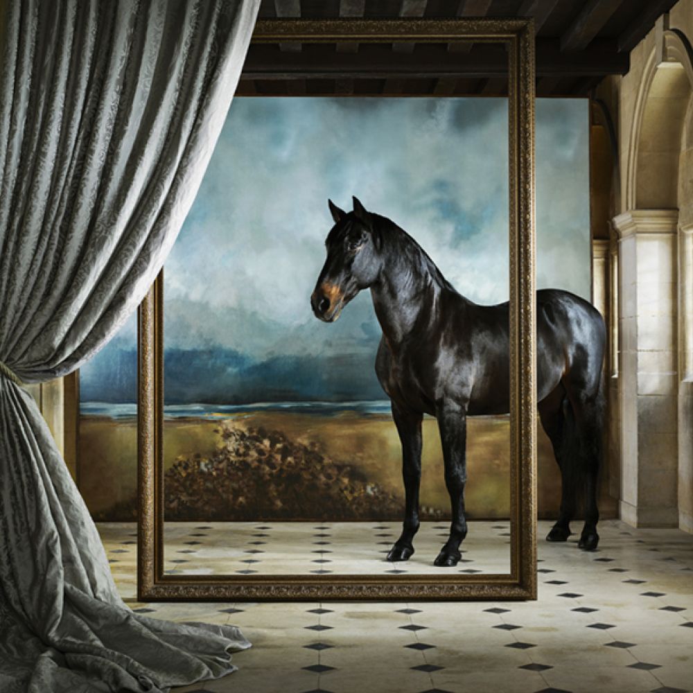 Текстиль Zoffany Boleyn 332769