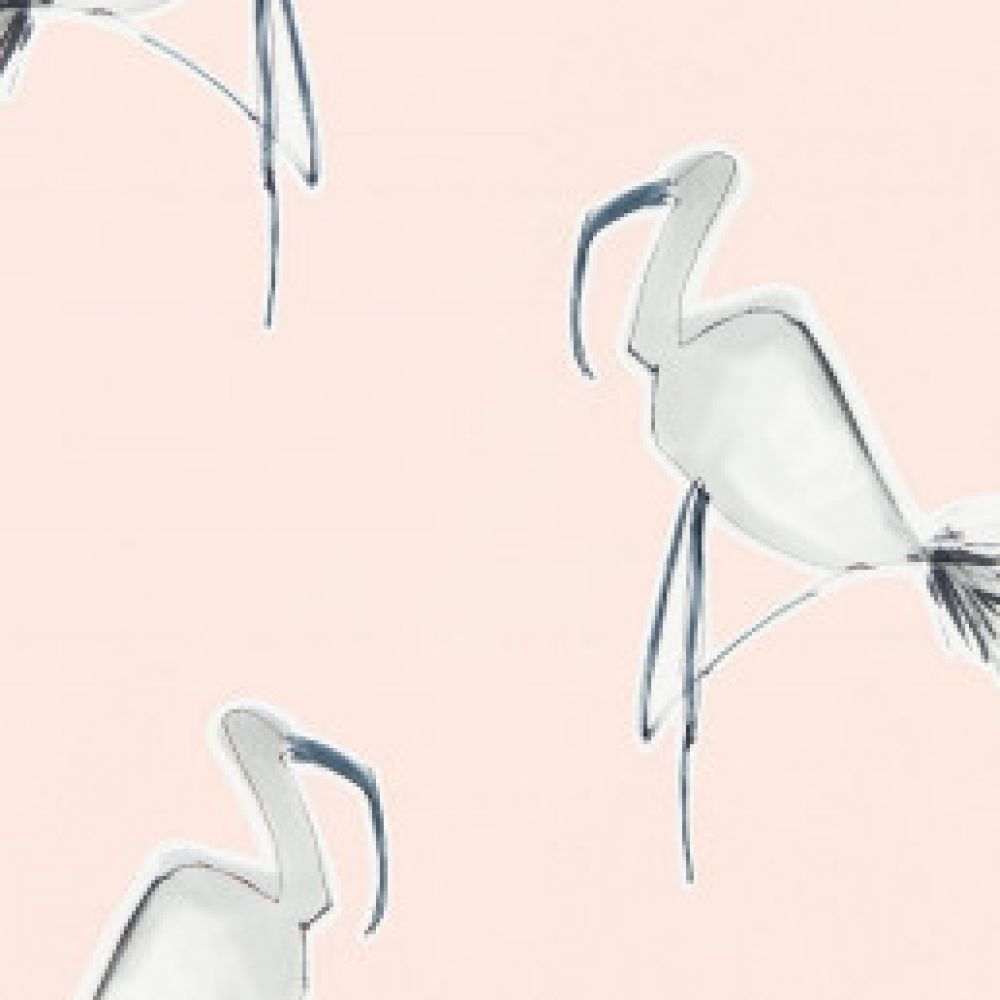 Обои Scion Zanzibar 111999