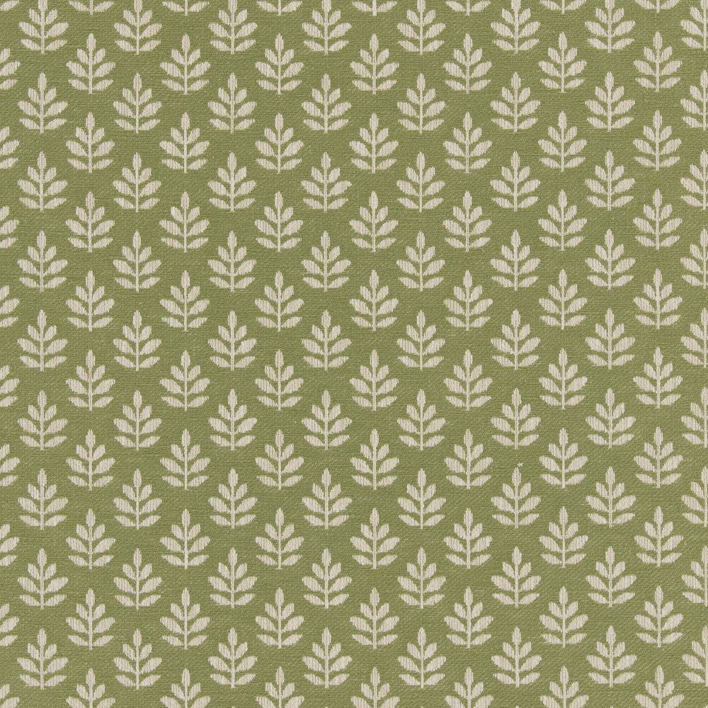 Текстиль Ashley Wilde Lina Weaves WINNIE OLIVE