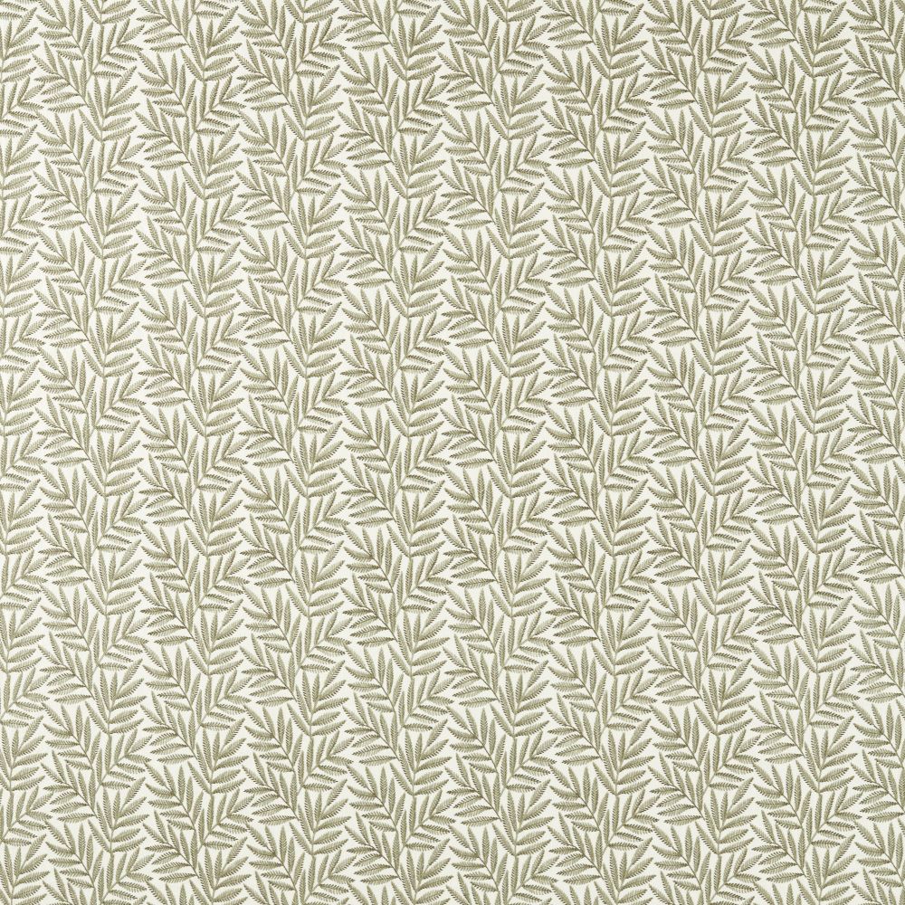 Текстиль Clarke & Clarke Expressions CCF0881-02