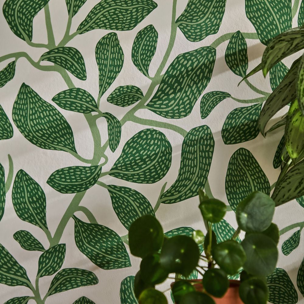 Обои Scion Oakham 113268