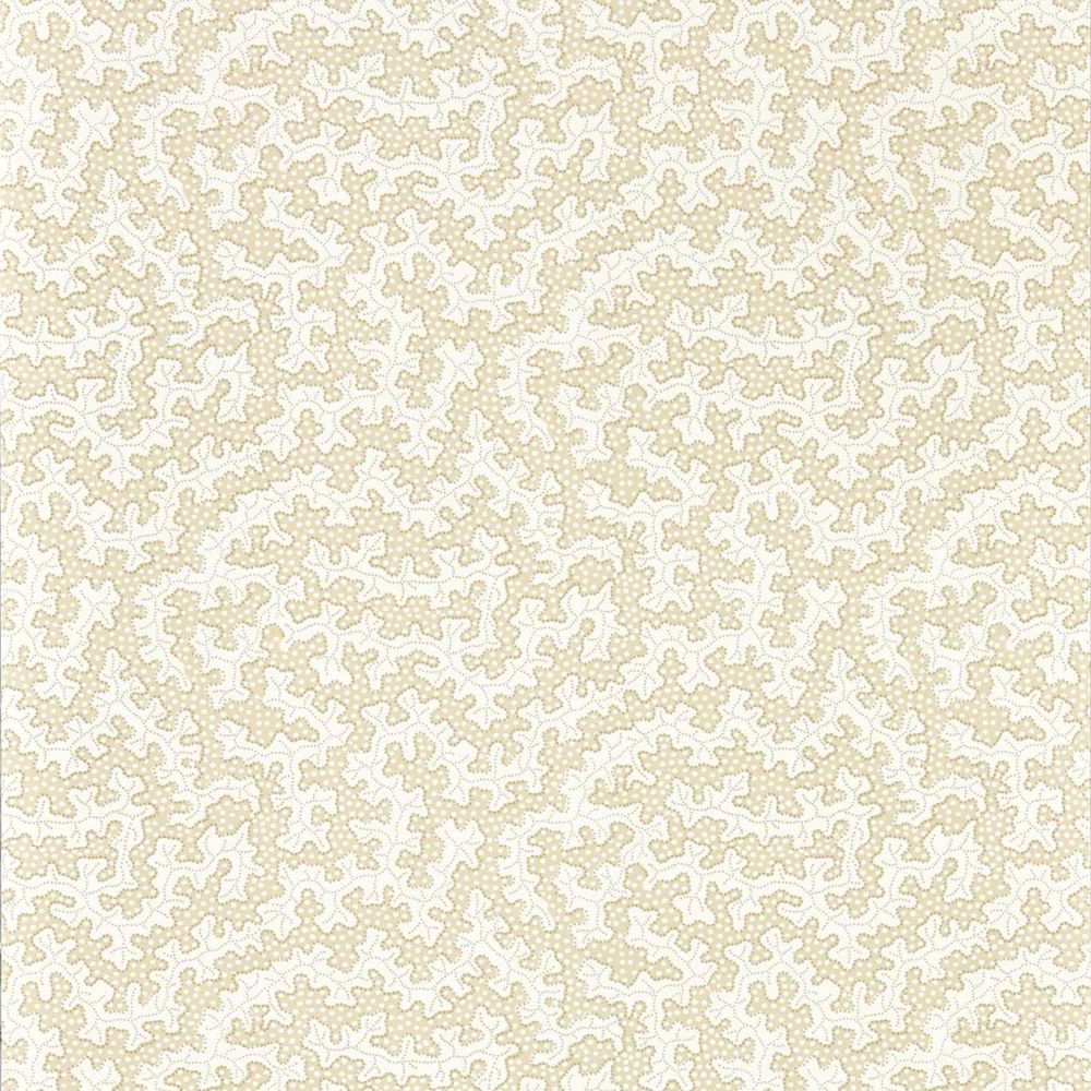 Обои Sanderson Arboretum 217243