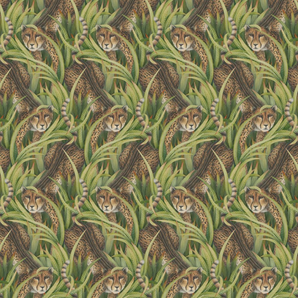 Обои Cole & Son Ardmore – Baobab 129/8042